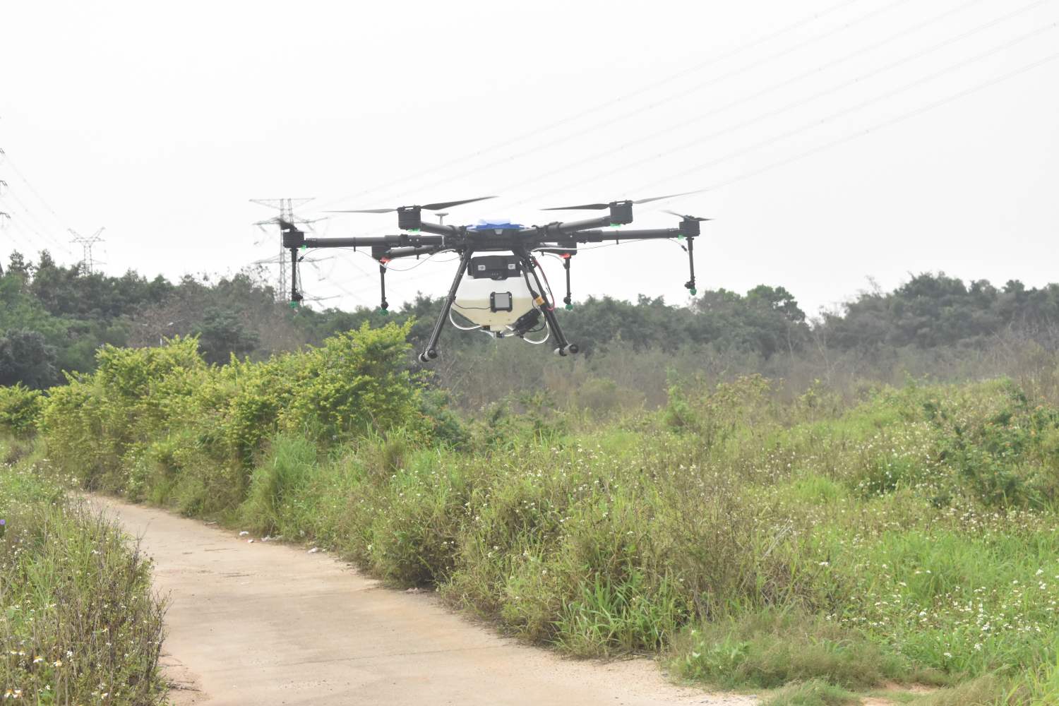 鼎峰植保無人機護航助力油菜豐產豐收