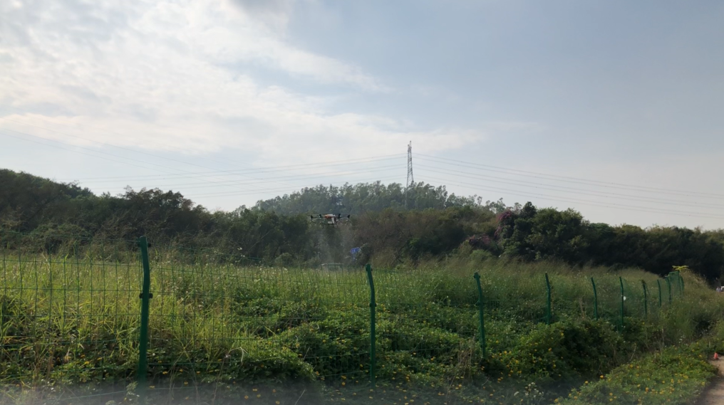 鼎峰植保無人機，打藥效率高、成本低、防治效果好！