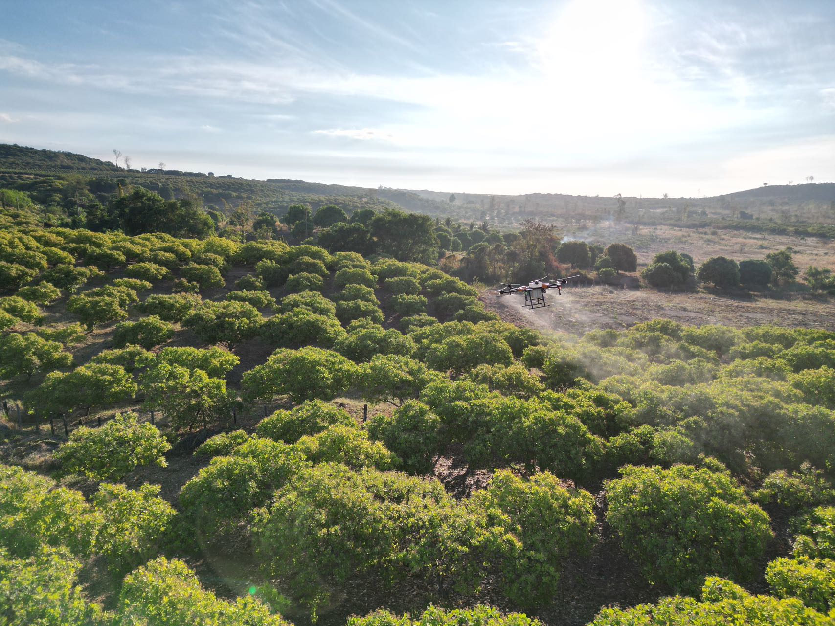 無人機植保，引領現代農業新篇章